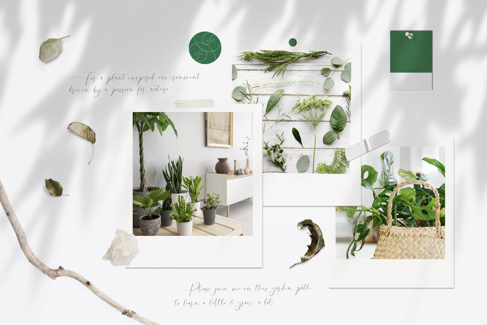 Moodboard Botanically